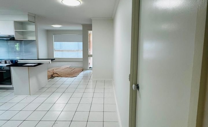 Professional Interior House Painters
